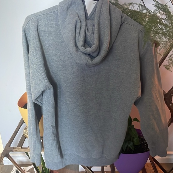 lambton college hoodie! size S - Picture 2 of 4